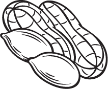 Shape Image